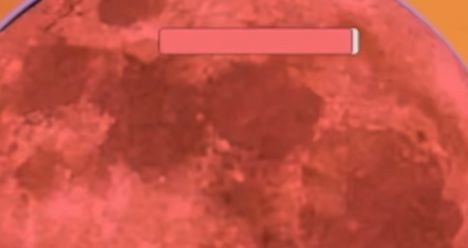 迈特凯幸存者正版  v1.0