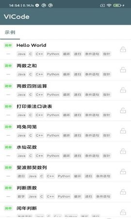 VICode代码编辑器  v1.0