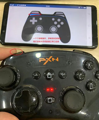 小鸡模拟器中文版