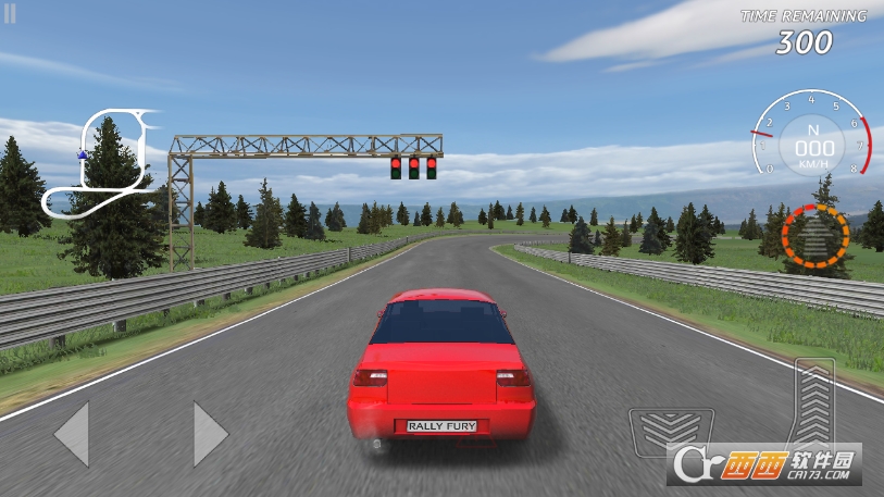 Rally Fury
