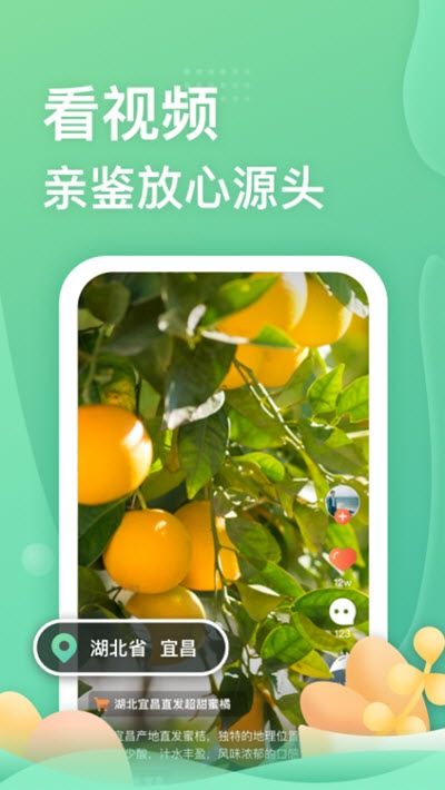 糖砖APP手机版图片1