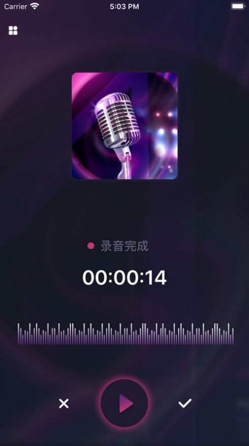 炫音变声器  V 1.0.0