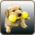 Dogz2(电子宠物狗)