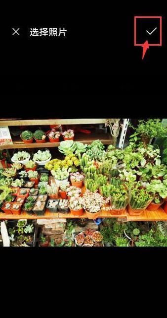 手机修图Snapseed