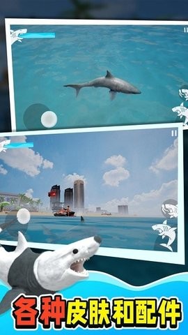 鲨鱼大猎杀中文版  v1