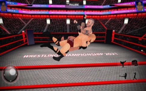 摔跤战斗革命3D  V 1.0