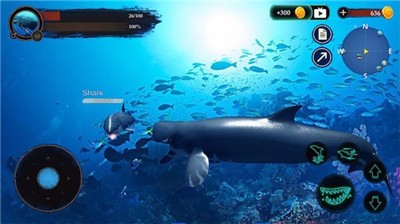 抹香鲸模拟器  v1.0.1