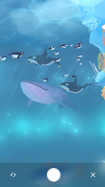 深海水族馆极地Abyssrium Pole
