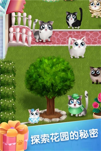口袋猫咪破解版 v1.0.4