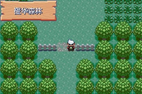 口袋妖怪究极绿宝石小智版R装甲金手指下载图片2