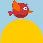 圆鸟飞行Circle Bird