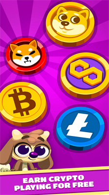 宠物冲突Clash OfPets