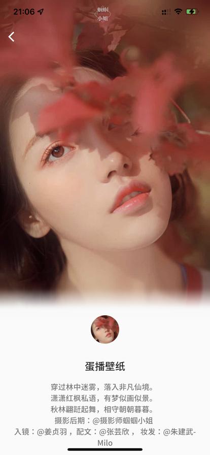 蛋播壁纸  V 1.0.0