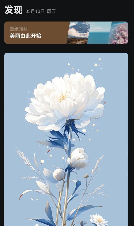 阿讦壁纸软件官方版 截图2