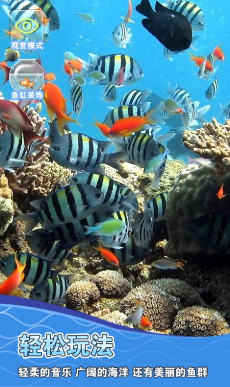 假装鱼缸模拟器.jpg 假装鱼缸模拟器.jpg