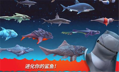 饥饿鲨进化国际服正版2023  v9.6.4