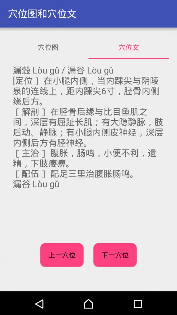 中医经络穴位流注 版本:v2.2