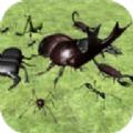 异国昆虫大军游戏中文版 