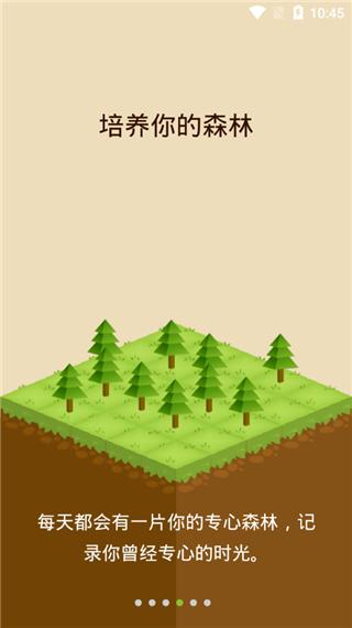 专注森林  v1.02