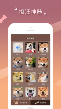 人狗交流器 v3.0.5