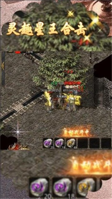 灵趣星王折旧版  v1.0.1.3900