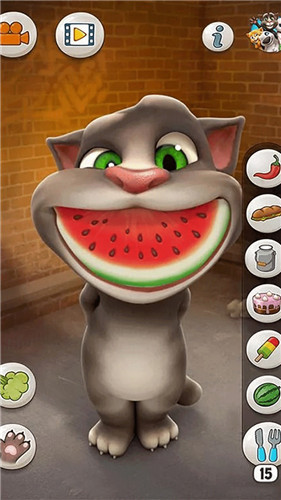 会说话的汤姆猫完整版