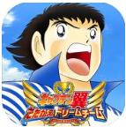 足球小将翼梦幻队伍