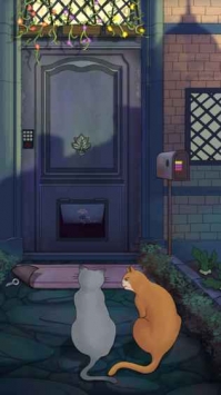 流浪的橘猫侠 v3.2.5