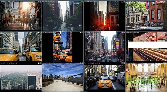 Xeoma安卓中文版下载官方版2022  v3.4.4