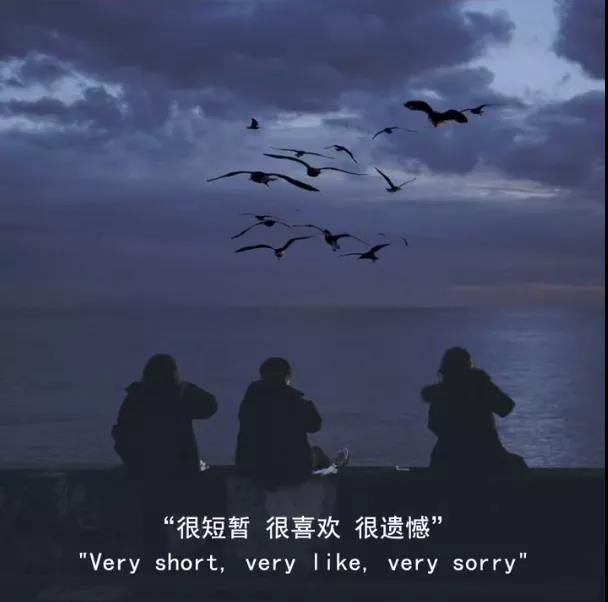 怎么说说什么和谁说骷髅背景图 v1.0