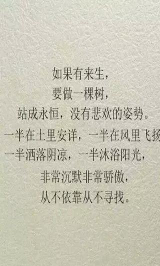 平平淡淡简单的幸福图片 v1.0