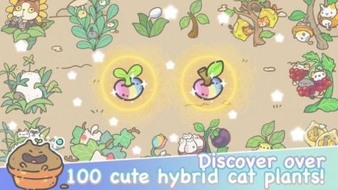 我的猫咪盆栽 v0.5.3