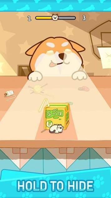 别被柴柴发现.jpg 别被柴柴发现.jpg