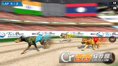 狗赛车锦标赛手游 v1.0.3