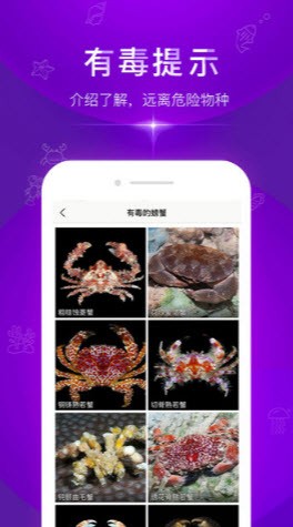 拍照识别鱼品种截图2