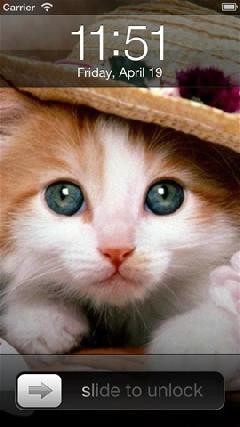 X萌物壁纸  V 1.0