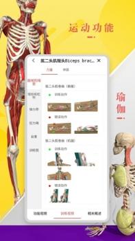 3Dbody解剖学 v3.2.5