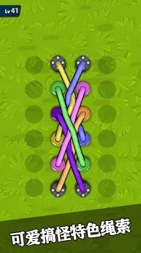 彩虹绳结3D v3.0.5