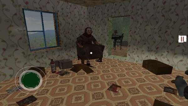 边境官模拟器游戏安卓最新版  v3.0.1