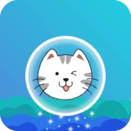 猫儿飞起