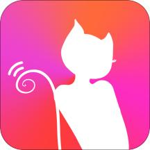喵聊交友