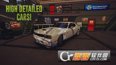 真实飞驰手游 v3.2 安卓版