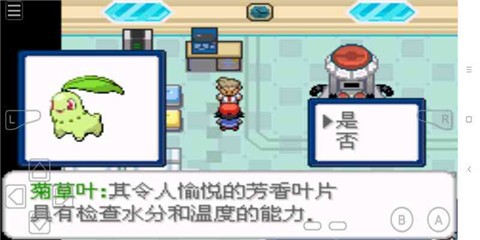 口袋妖怪去吧洛奇亚汉化版