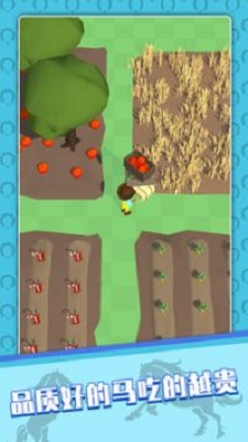 我的马场 v189.1.2.3018