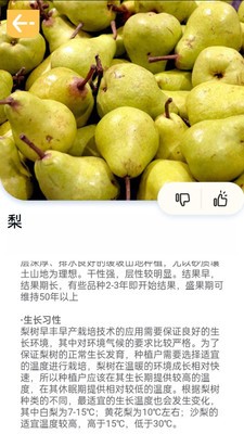 百果日记  v0.1