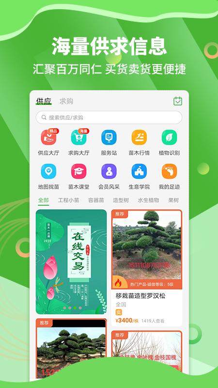 苗木通 v5.12.0
