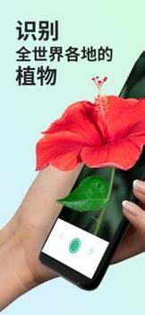 PictureThis v3.0.5