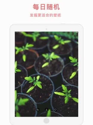 Cozy壁纸 v1.0