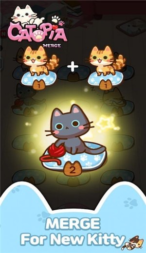 萌猫大本营 v0.2.2