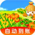 黄金菜园